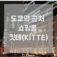 도쿄 자유여행 : 도쿄역 근처 가볼 만한 곳 쇼핑몰 킷테(KITTE)