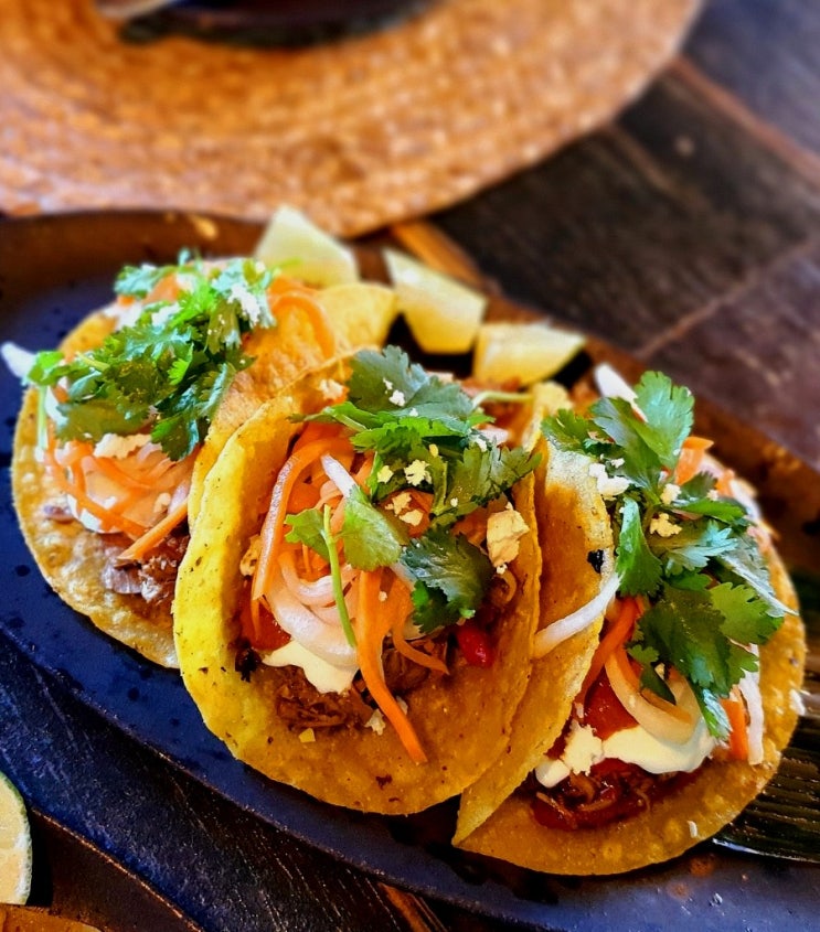 수킹 타코 바(SOOKING TACO BAR) / 멕시코 바이브의 제주 타코바 : 네이버 블로그