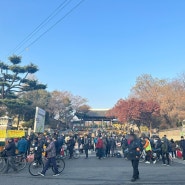 대구 달성공원 새벽시장 주차장, 먹거리, 대구 이색 데이트