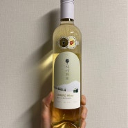 국내 화이트 와인 추천 시나브로 (내돈내산