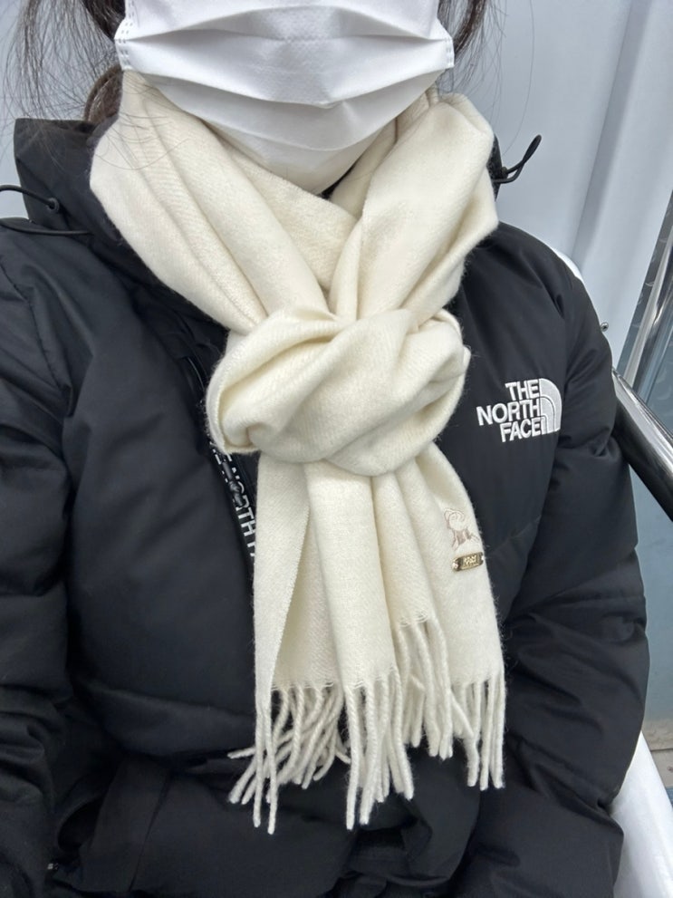 [목도리] 고비GOBI 오가닉 캐시미어 목도리 머플러 아이보리 내돈내산 간단 후기, 착용샷 : 네이버 블로그