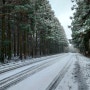겨울제주여행 추천명소 흰눈내린 사려니숲길 산책