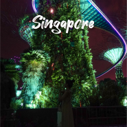 싱가포르 여행 | 환상적인 슈퍼 트리 가든 랩소디 쇼 관람 꿀팁 명당, 플라워돔 야간 관람 후기
