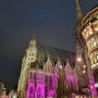 [해외여행] #17 유럽 크리스마스 마켓 ② - 오스트리아 비엔나 벨베데레 궁전, 쉔브룬 궁전, 슈테판대성당, 비엔나 시청