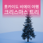 홋카이도 겨울 여행의 백미 - 비에이 크리스마스트리