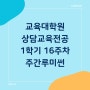 상담심리교육대학원 [23] 1학기 수업 16주 차 종강 '주간루미썬'