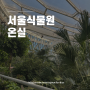 서울가볼만한곳 마곡 서울식물원 따뜻한 온실 겨울실내데이트