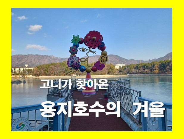 창원 용지호수공원 철새들의 겨울나기