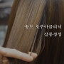 송도 타임스페이스 미용실 살롱정성에서 오주아크리닉 복구성공