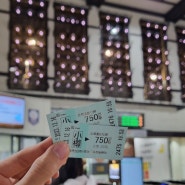 [일본 여행]삿포로에서 오타루 가는 법, 삿포로-오타루 JR 기차 티켓, 좌석 꿀팁! #미나미오타루역