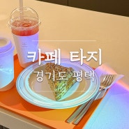 평택 송탄 애견동반 카페타지 야외 대형카페 데이트코스 디저트 맛집 핫플