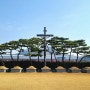 NO.164 신유박해 시절 서울과 충청도 신자들의 피난처 화성 ‘요당리 성지’