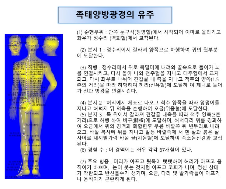 [체질침법] 족태양방광경의 유주순행 : 네이버 블로그