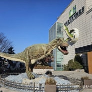 어린이박물관::서대문자연사박물관 주차편한 서울 박물관 아이와 가볼 만한 곳
