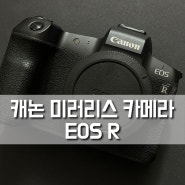 캐논 미러리스 카메라 EOS R 장점, 단점, 약 5년간의 롱 텀 사용기