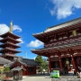 [도쿄 여행기] 도쿄 & 하코네 여행기 2편: 도쿄 동남부 여행기 (나리타 공항, 아키하바라, 아사쿠사, 오다이바)