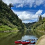 3박 4일 Whanganui river 카누 후기