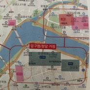 서울 도시 답사 1회, 신사동 가로수길~압구정 로데오거리