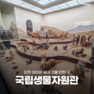 인천 아이와 실내 가볼 만한 곳 국립생물자원관