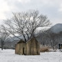 [인천대공원 설경] 눈 내리는 날 산책하기 좋은곳