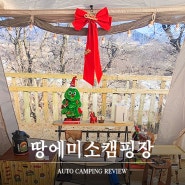 [연천 땅에미소캠핑장] 메리 크리스마스 댕댕이 캠핑 / D구역 사이트