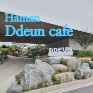 함안 카페 뜬 대형 정원이 있는 카페