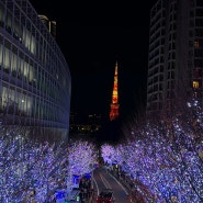 🇯🇵크리스마스 일본 도쿄 여행 (2)🇯🇵🎄 (롯폰기, 에비스가든 플레이스, 시부야스카이, 시부야스크램블, 이마카츠, 츠키지시장, 교자로오, 키디랜드, 긴다코, 터렛커피)