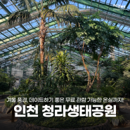인천 청라 생태공원 겨울 풍경, 데이트하기 좋은 무료 관람 가능한 온실까지!