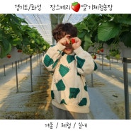 경기도 화성 겨울 아이랑 체험 / 장스베리 딸기 농장