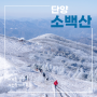 겨울 눈꽃산행지 단양 소백산 등산코스 (천동탐방지원센터~비로봉)