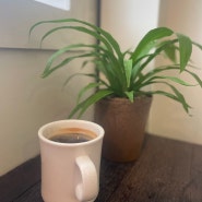 마포의 사회적경제기업 커피 원두 후기