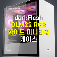 작은 공간에 효율적인 darkFlash DLM22 RGB 화이트 미니타워 케이스