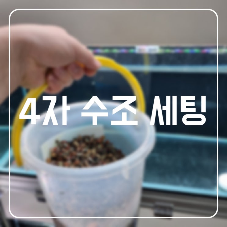 4자 수조 세팅 : 네이버 블로그