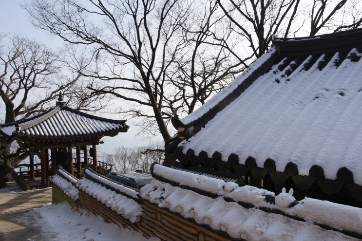 경기도 남양주절 운길산 사찰 수종사 & 고양시 흥국사 : 네이버 블로그