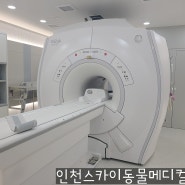 인천 동물병원, 강아지 MRI검사, 고양이 MRI검사 _ 인천스카이동물메디컬센터