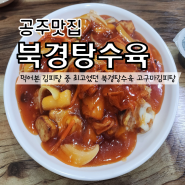 공주 맛집 먹어본 김피탕 중 최고였던 북경탕수육