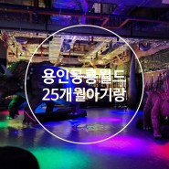 25개월아기랑 용인 공룡월드 방문후기(기흥 다이노베이랑 비교), 주차아쉬움