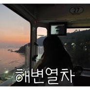 부산 송정출발 해변열차 청사포 미포 스카이캡슐 실패한 썰