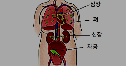 양수색전증, 원인과 증상, 치료법 알아보기 : 네이버 블로그