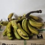 대봉수목원표 국산 바나나