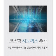 코스닥 시노펙스 주가, 지난 주부터 이어지는 상승세 어디까지 오를까?