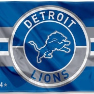 [NFL] Detroit Lions