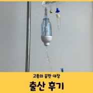 [妊娠日記] 제왕절개 출산 후기 6박7일 입원 (feat. 진통주기, 가진통과 진진통)