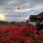 [오사카여행] 가을 단풍시즌🍁 오사카&교토여행 준비편