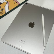 [Apple] iPad Air 아이패드 "에어 5세대 256 셀룰러 스타라이트+2세대 애플 펜슬" 언박싱