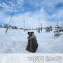 눈 내린 한라산 겨울 왕국, 7살 아들과 윗세오름 등산