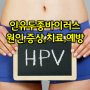 인유두종바이러스 HPV 원인과 증상 및 치료와 예방