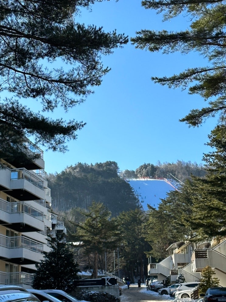 강원도 평창여행 / 아이와 가기 좋은 리조트 모나파크 용평리...