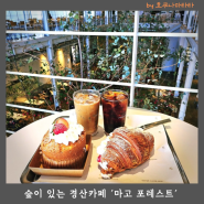 숲을 담은 경산카페 마고포레스트, 경산 베이커리 맛집 추천