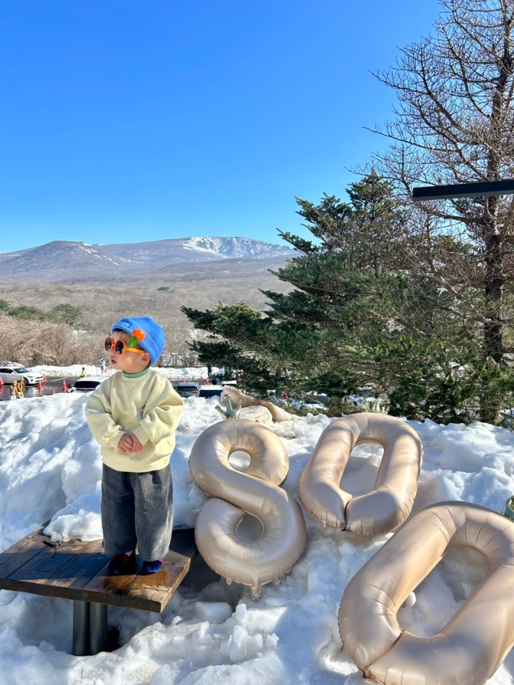 [제주여행] 한라산 1100고지 (ft. 산이 800일)